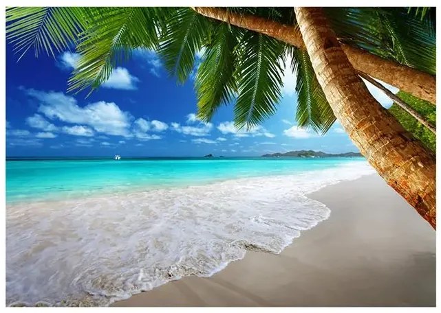 Fototapeta - Tropical island Veľkosť: 100x70, Verzia: Premium