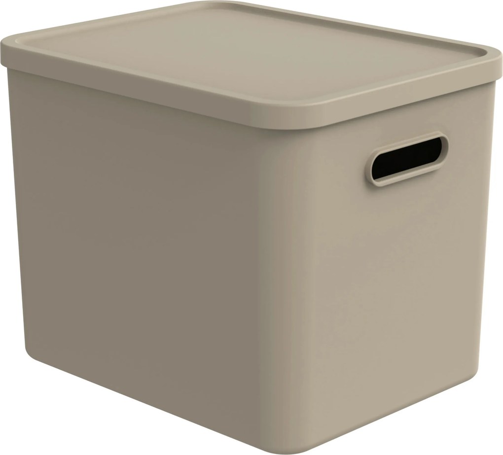 XXXLutz ÚLOŽNÝ BOX plast Rotho - Online Only bytové doplnky - 003294010205