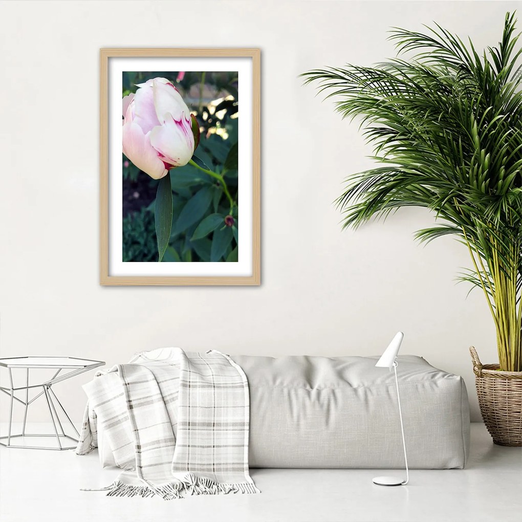 Gario Plagát Biela pivonka Farba rámu: Bez rámu, Rozmery: 30 x 45 cm