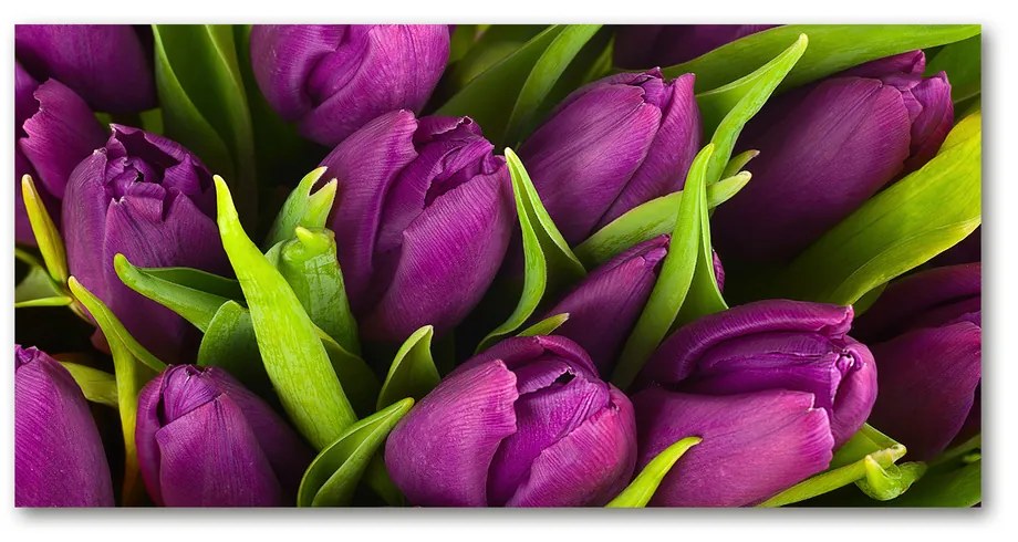 Foto obraz akryl do obývačky Fialové tulipány pl-oa-140x70-f-89975331