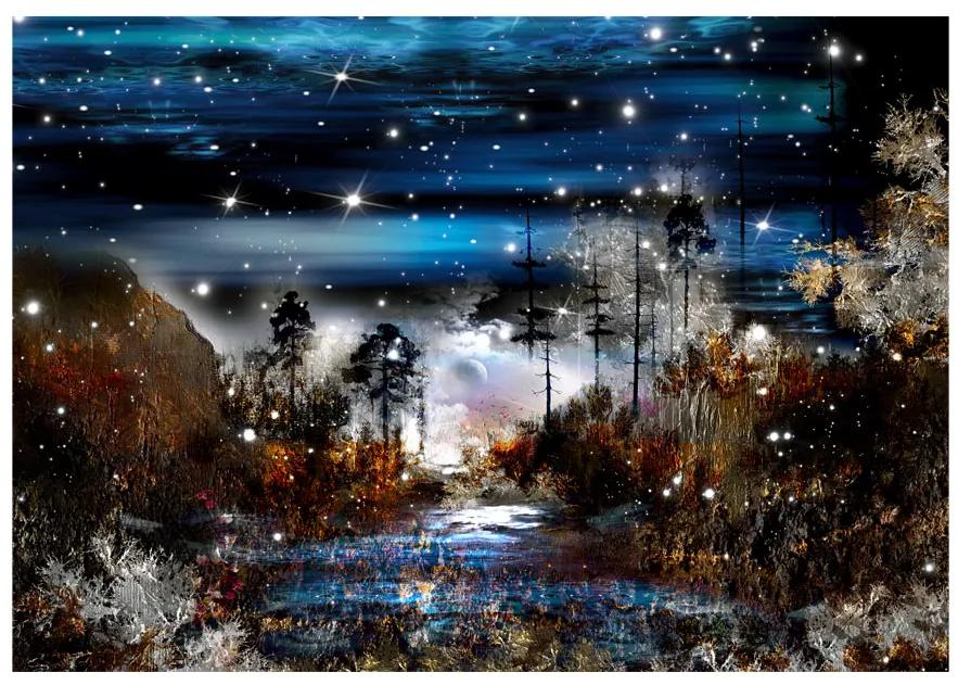 Artgeist Fototapeta - Night in the forest Veľkosť: 245x175, Verzia: Samolepiaca