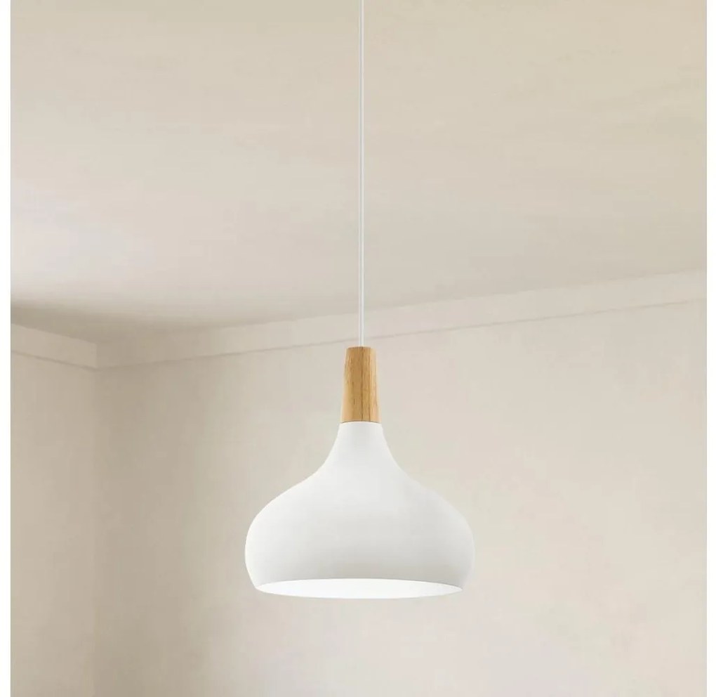 Eglo 901178 - Závesný luster na lanku SABINAR 1xE27/60 W/230 V, pr. 28 cm, biely-