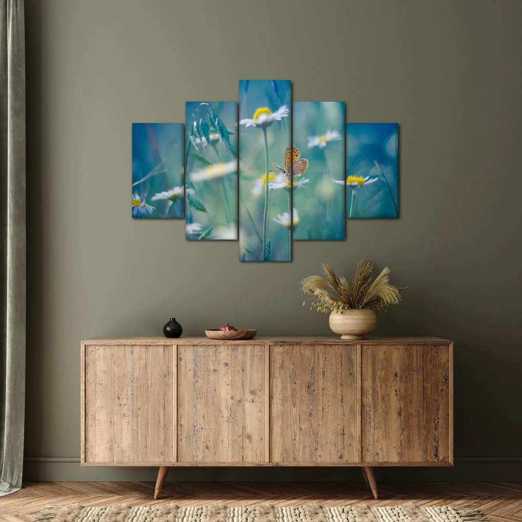 Obraz - Motýľ na sedmokráske (150x105 cm)