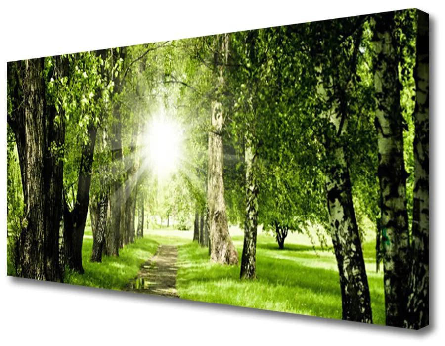 Obraz Canvas Les slnko chodník príroda 140x70 cm
