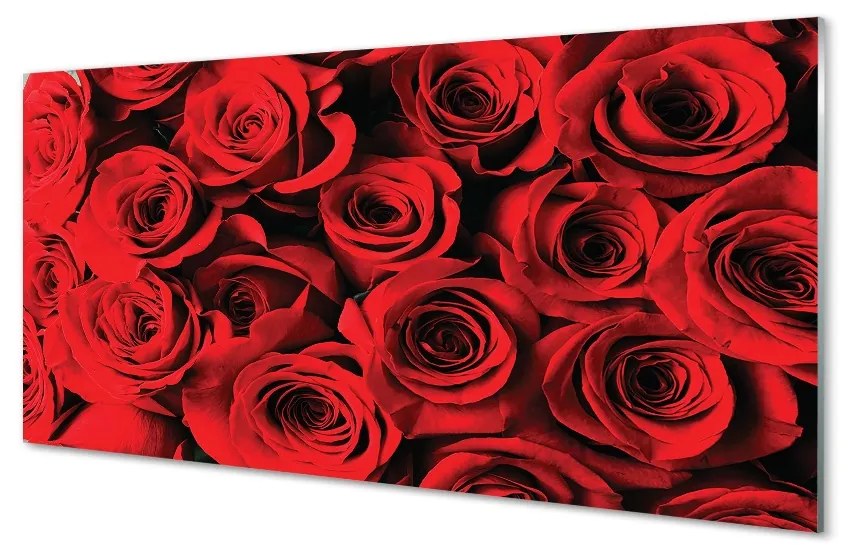 Obraz na skle ruže 100x50 cm