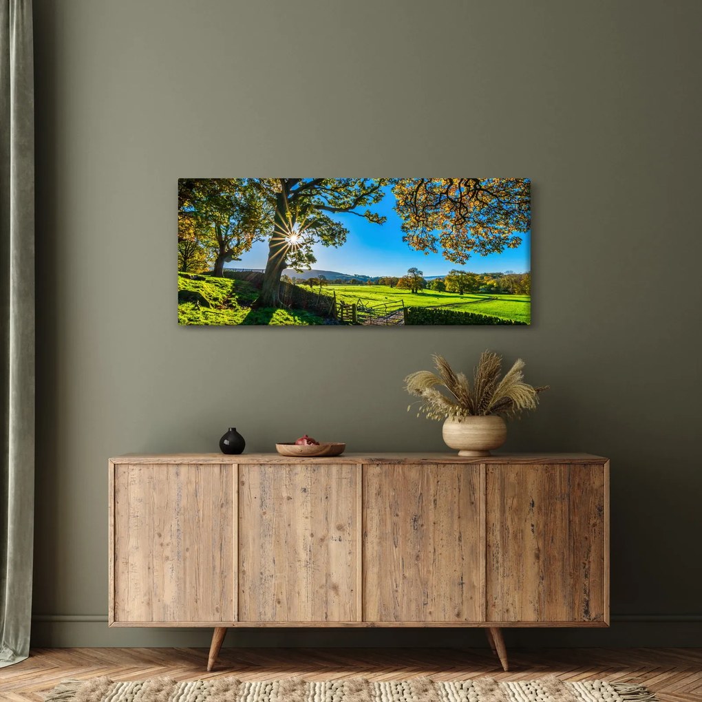 Obraz - Výhľad na pole (120x50 cm)
