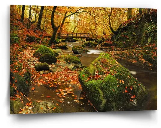 Sablio Obraz Most v lese - 90x60 cm