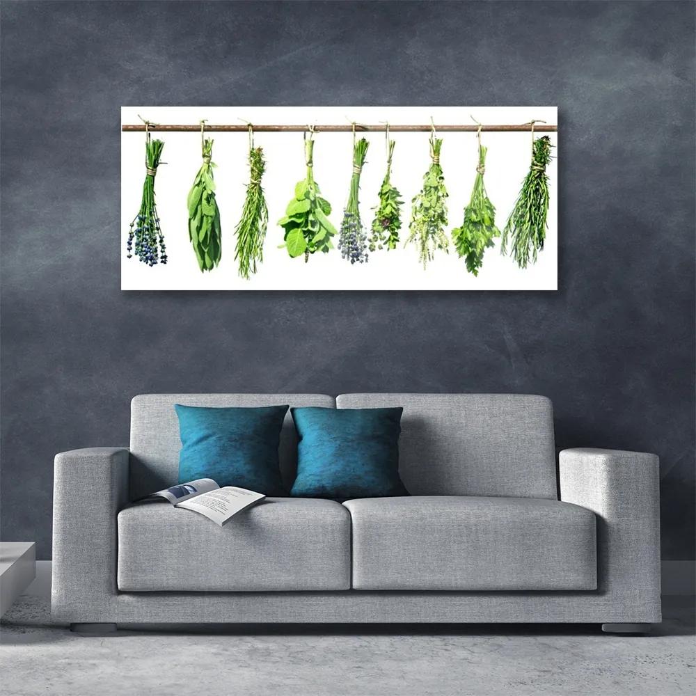 Obraz na akrylátovom skle Kvety rastlina príroda 125x50 cm