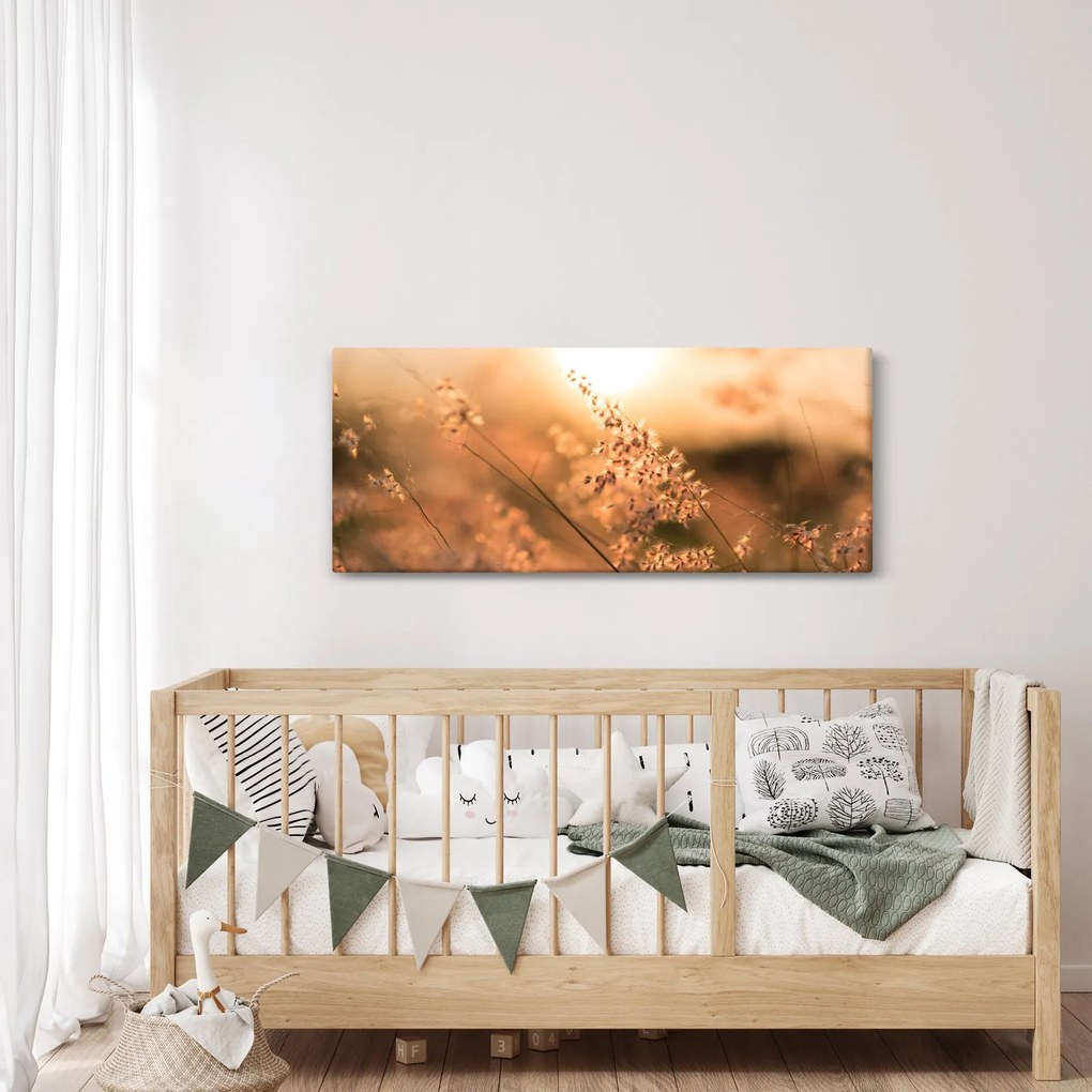 Obraz - Tráva na slnku (120x50 cm)