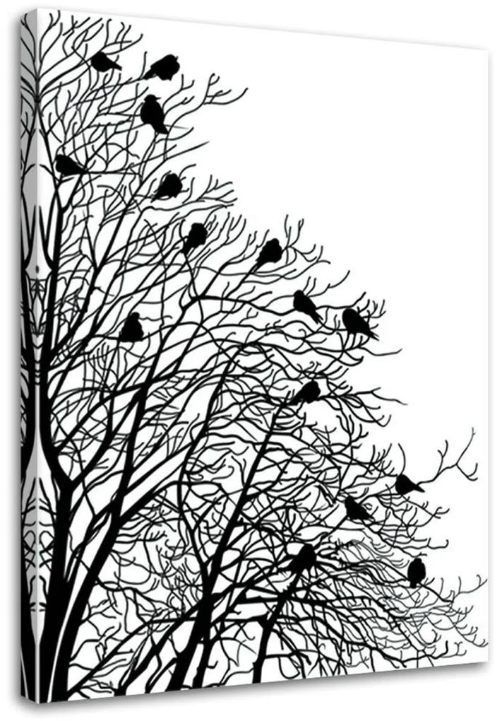 Obraz na plátně Ptáci na větvi Černá Bílá - 60x90 cm
