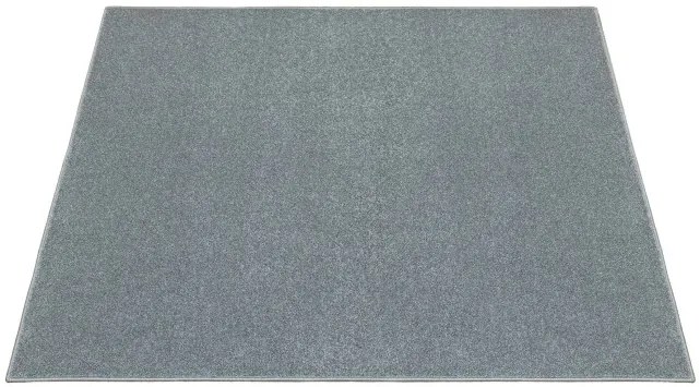 Koberec BRIGHTON 275 sivý