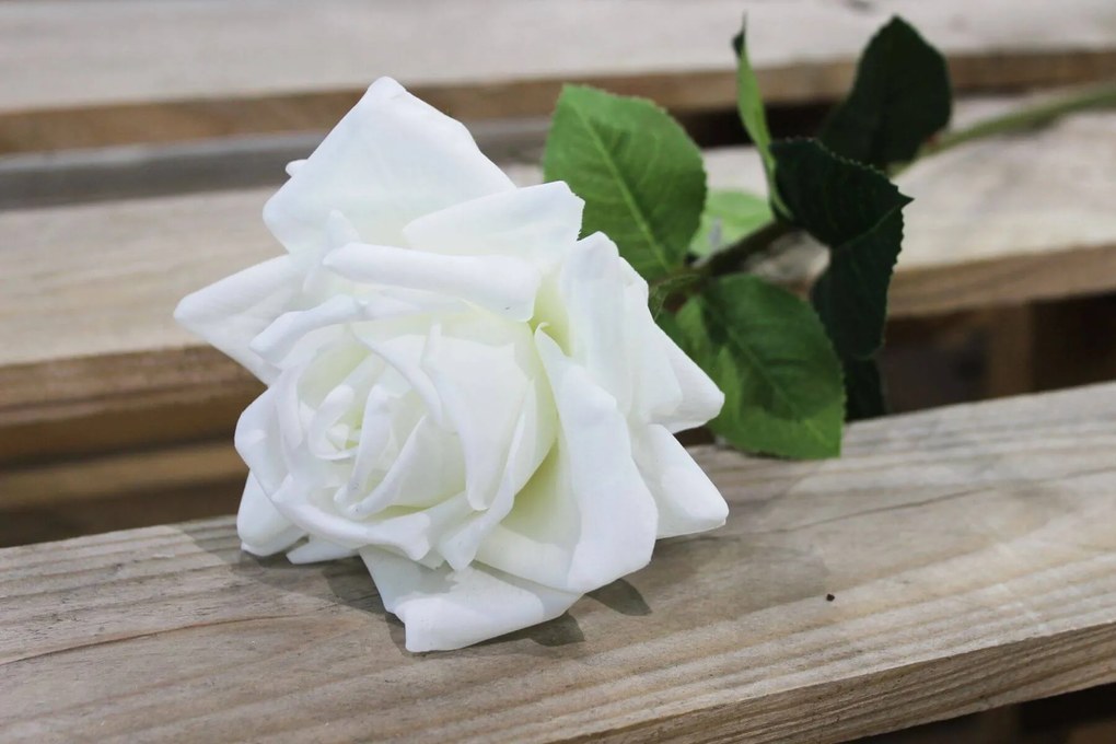 Biela umelá ruža rozkvitnutá 74cm