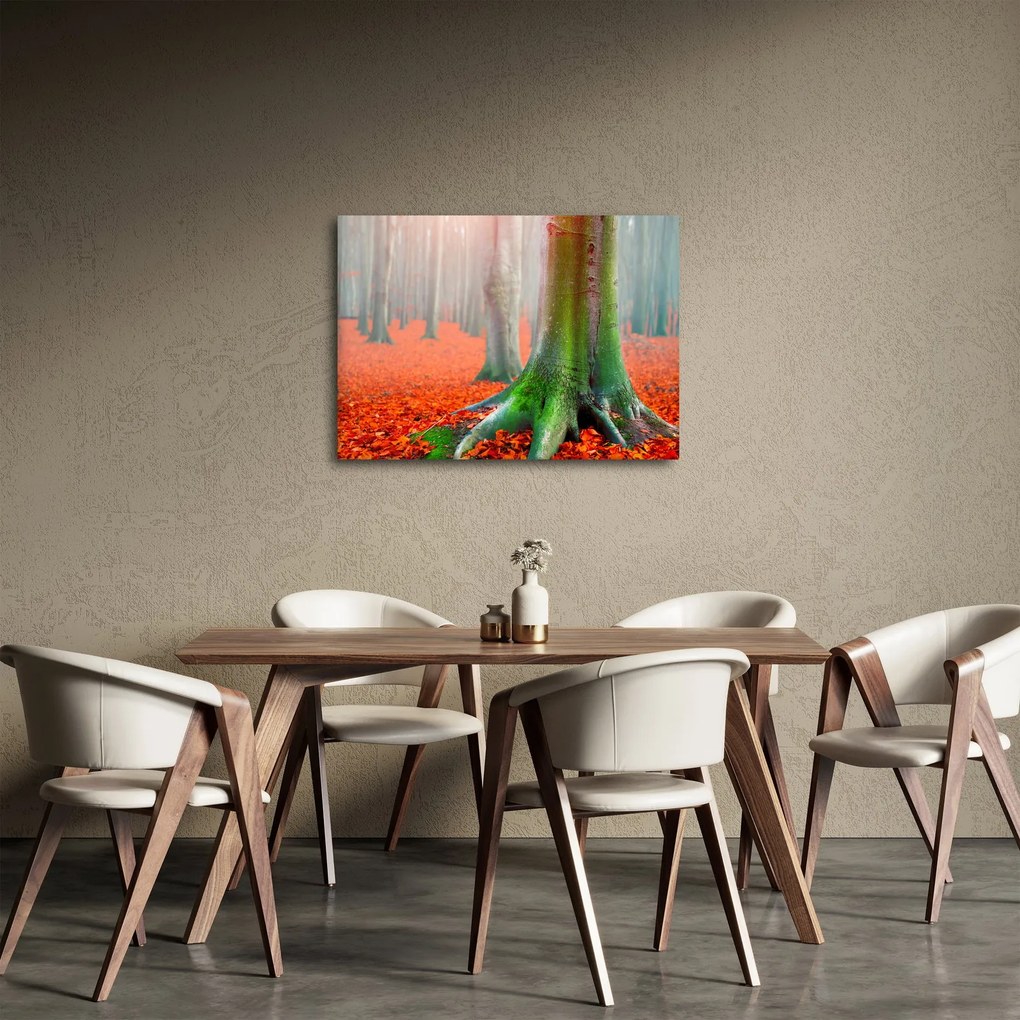 Obraz stromu (70x50 cm)