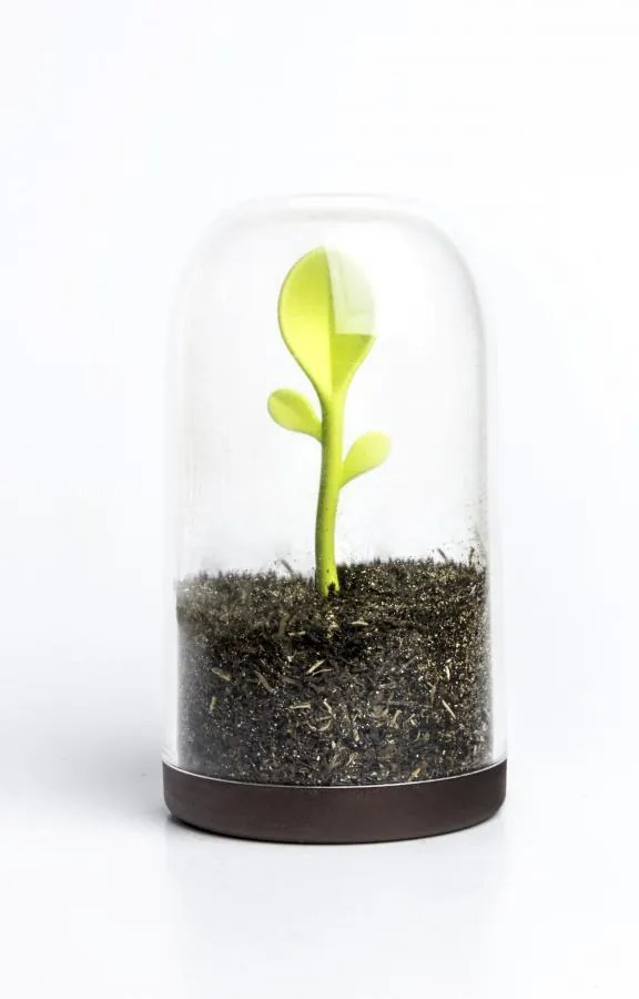 Dóza s lyžičkou Qualy Sprout Jar