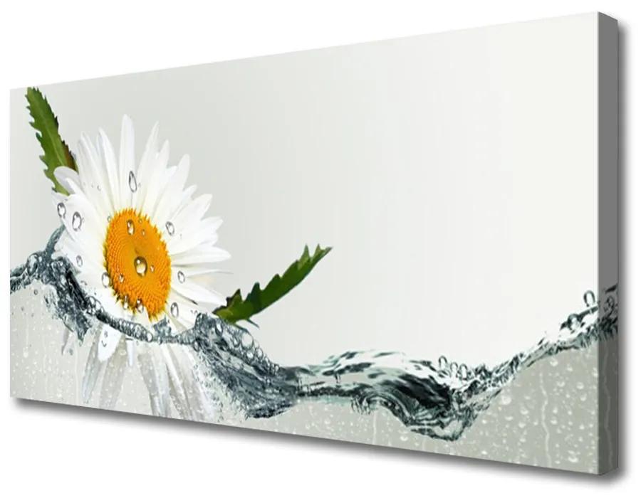 Obraz Canvas Sedmokráska vo vode 140x70 cm