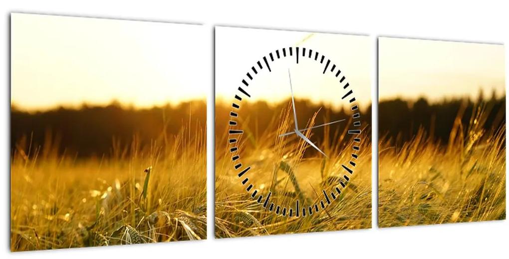 Obraz orosenej trávy (s hodinami) (90x30 cm)