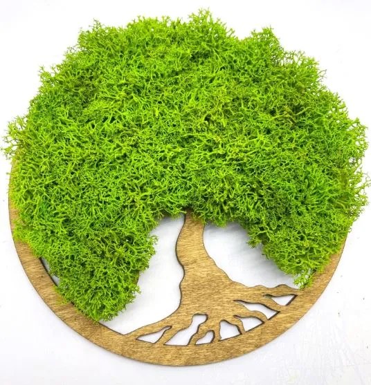 Strom na stenu z machu Bell 20 cm