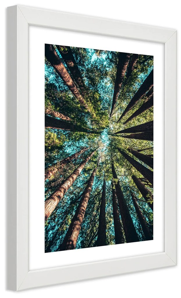 Gario Plagát Konáre vysokých stromov Farba rámu: Bez rámu, Rozmery: 20 x 30 cm