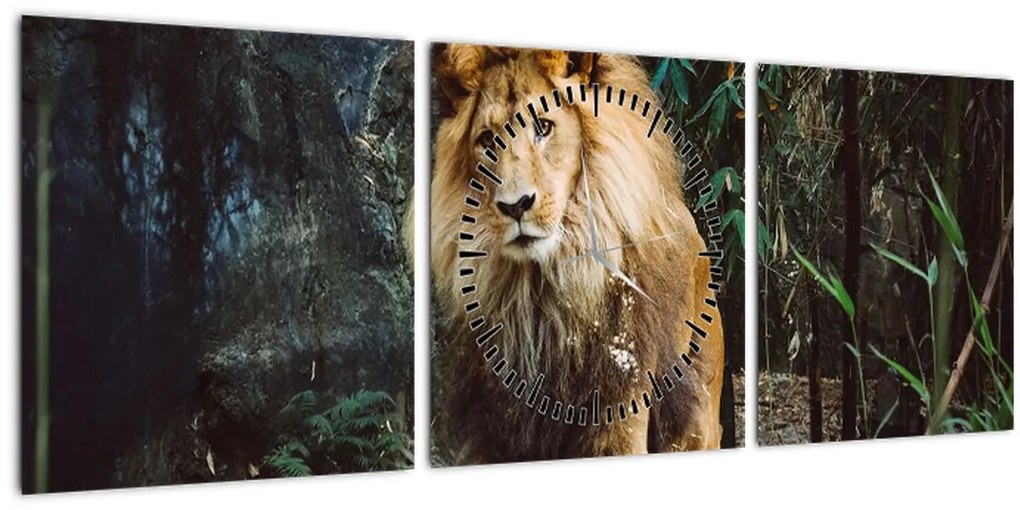 Obraz leva v prírode (s hodinami) (90x30 cm)