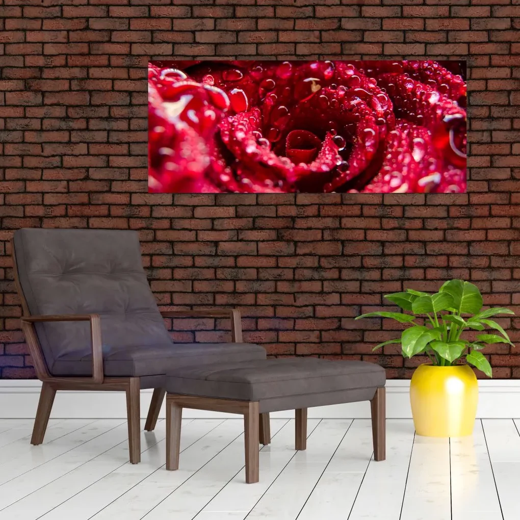 Obraz kvetu červenej ruže (120x50 cm)