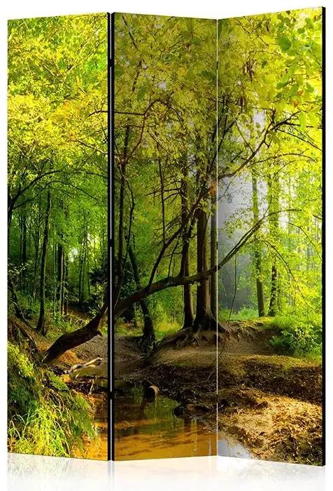 Paraván - Forest Clearing [Room Dividers] Veľkosť: 135x172, Verzia: Akustický