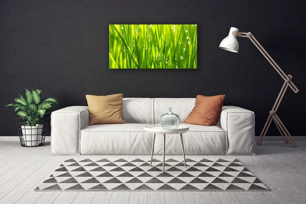 Obraz Canvas Tráva rastlina príroda 140x70 cm