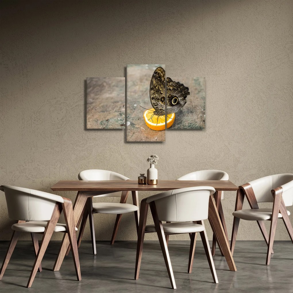 Obraz motýľa (90x60 cm)