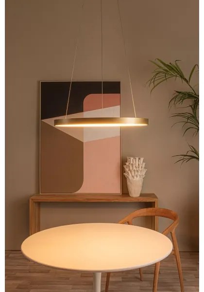 Lucide 46403/48/02 - LED Stmievateľný luster na lanku VIDAL LED/48W/230V