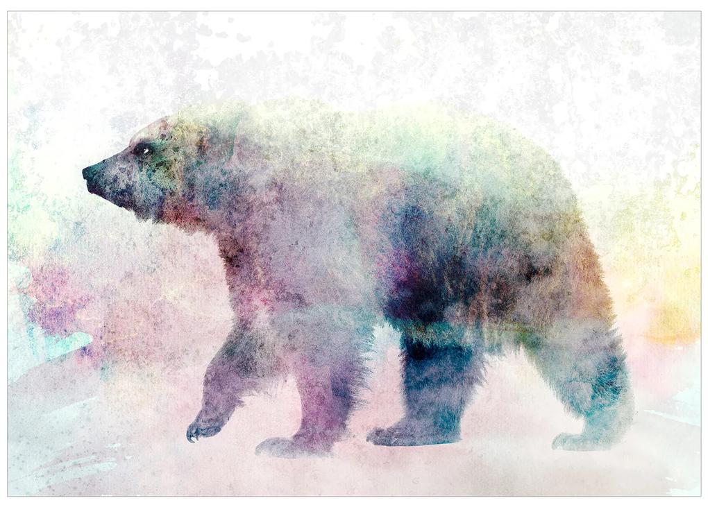 Artgeist Fototapeta - Lonely Bear Veľkosť: 100x70, Verzia: Standard