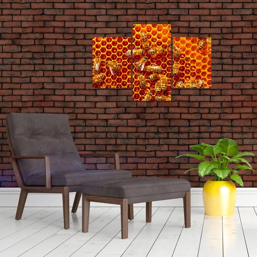 Obraz - Medový plást (90x60 cm)