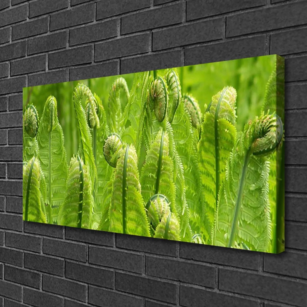 Obraz Canvas Rastlina príroda 140x70 cm