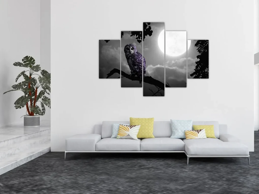 Obraz - Nočná sova, fialová sova (150x105 cm)