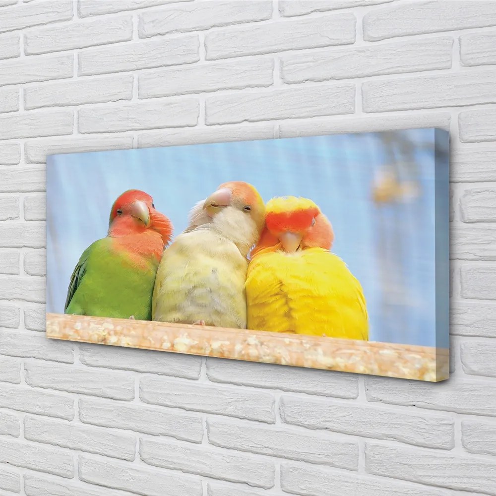 Obraz na plátne farebný papagáj 125x50 cm
