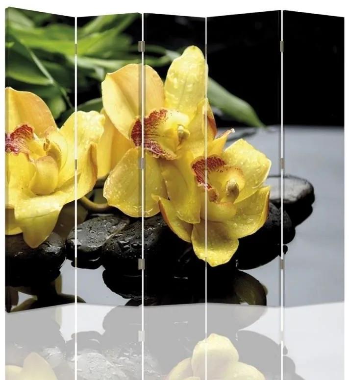 Ozdobný paraván, Žlutá orchidej - 180x170 cm, päťdielny, obojstranný paraván 360°
