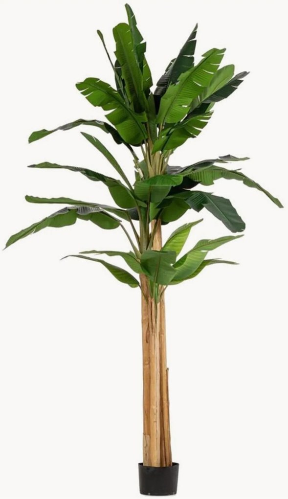 Exteriérová rastlinná dekorácia Banana, V 320 cm