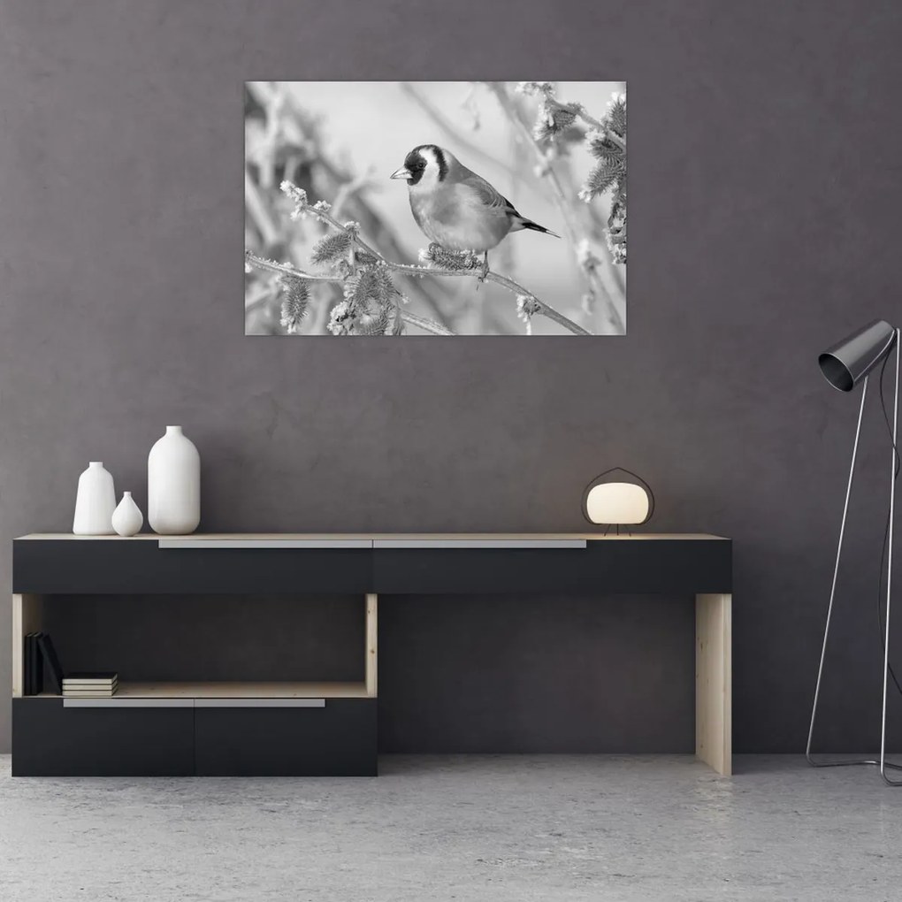 Obraz - Vtáčik v zime (90x60 cm)