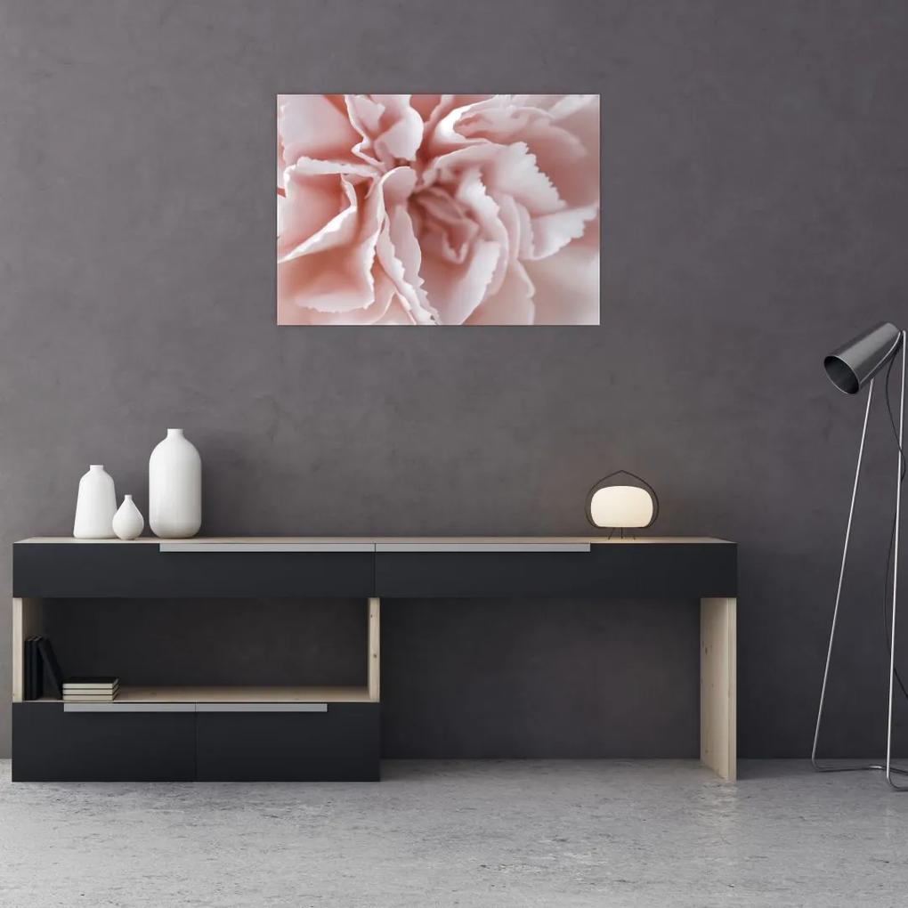 Sklenený obraz - Detail kvetu (70x50 cm)