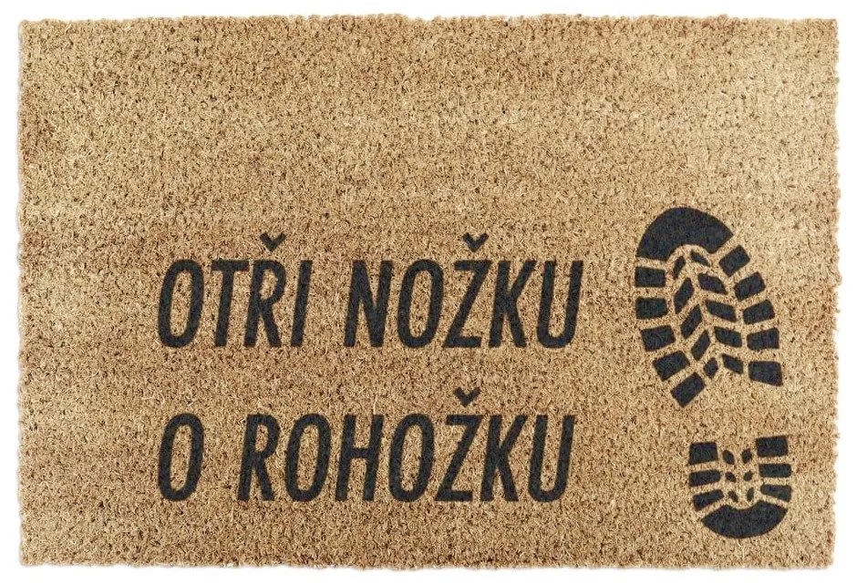 Rohožka z prírodného kokosového vlákna Artsy Doormats Otři Nožku, 40 x 60 cm