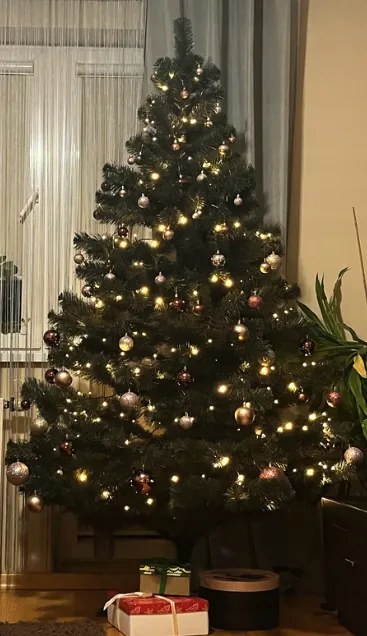 Vianočná borovica so šiškami 220 cm
