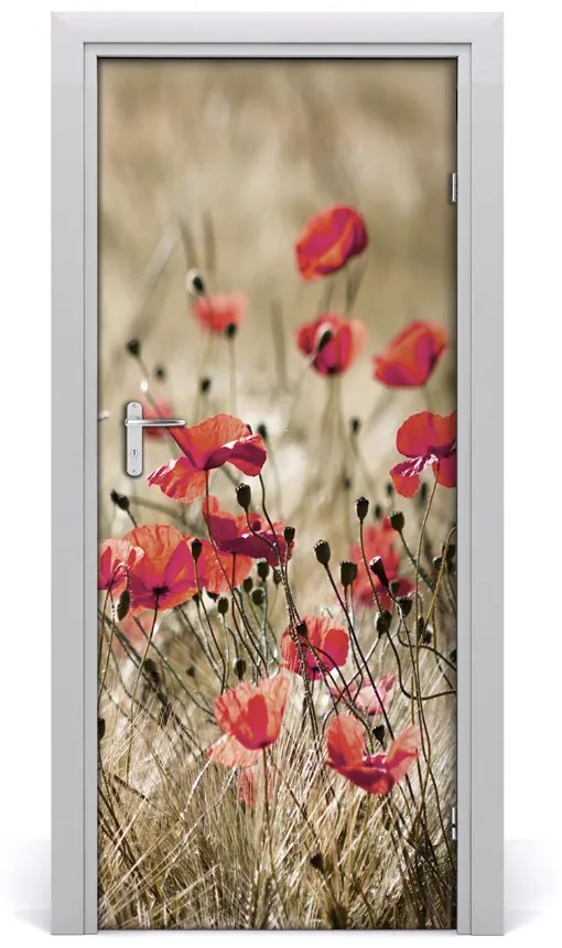 Fototapeta samolepiace Plolní kvety 75x205 cm