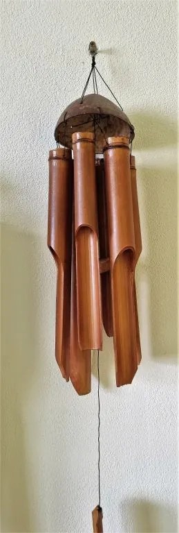 Zvonkohra bambus, 40 cm