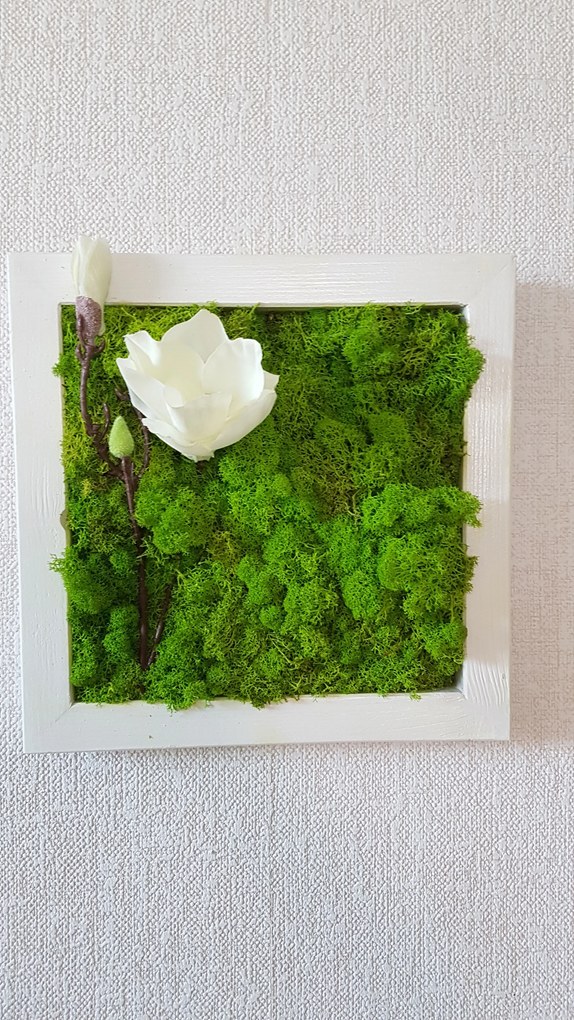 Machový obraz v bielom ráme 33cm x 33cm