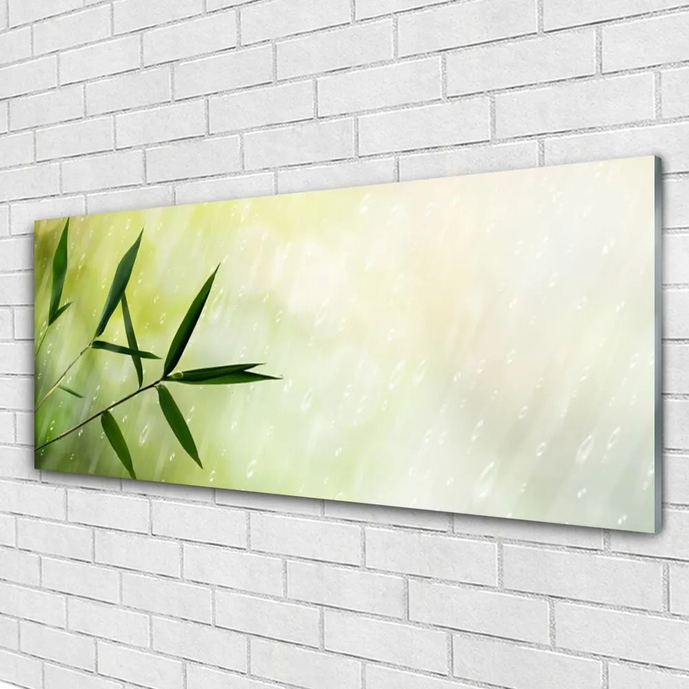 Obraz na akrylátovom skle Listy dážď 125x50 cm