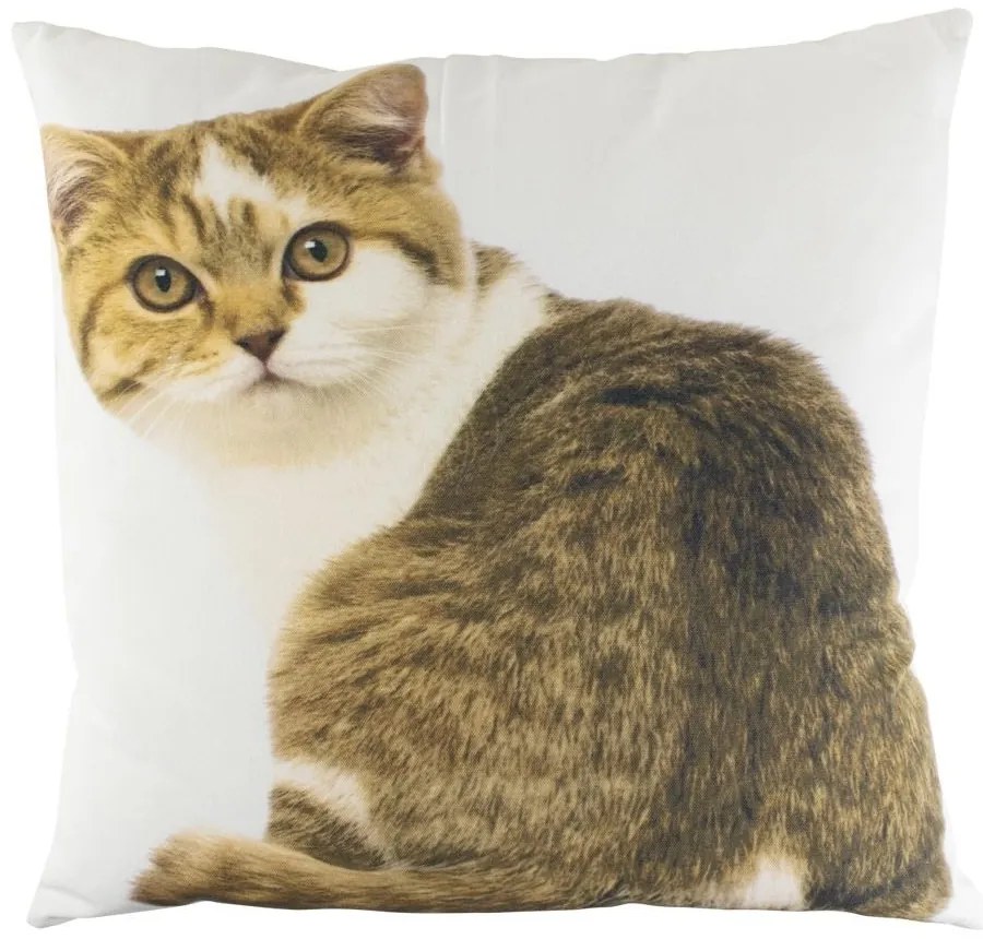 Plátený vankúš biely s mačkou Tabby - 50 * 50 * 10cm