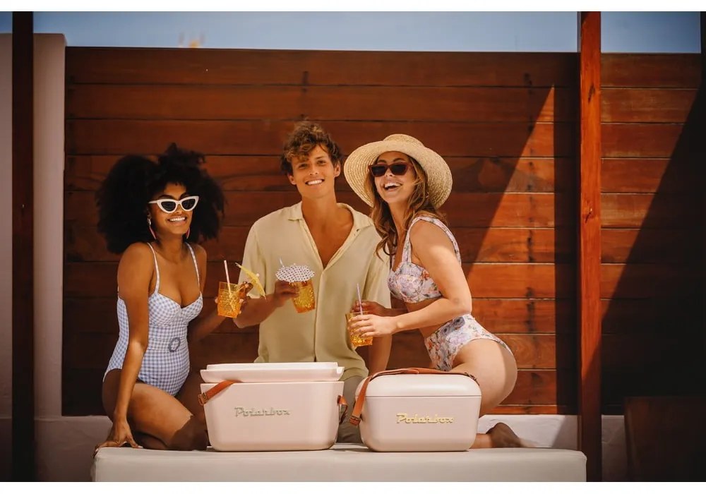 Chladiaci box staroružový 12 l Classic – Polarbox