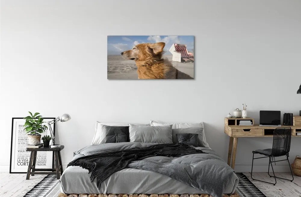 Sklenený obraz Hnedý pes beach 140x70 cm