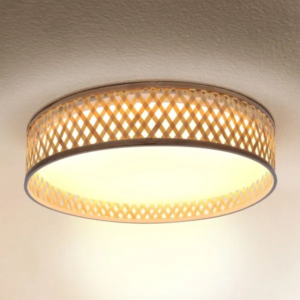 Brilagi - LED Stmievateľné stropné svietidlo CAMILA LED/48W/230V 3000-6500K + DO