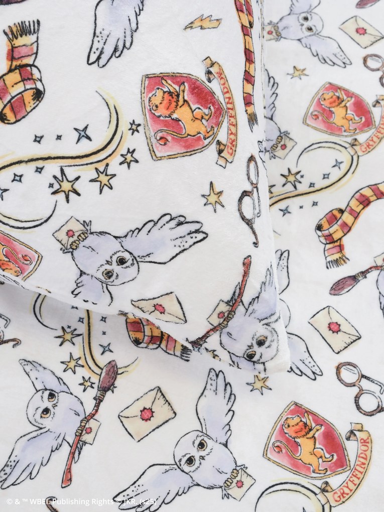 Francúzske obliečky mikroplyš Harry Potter - Chrabromil 2