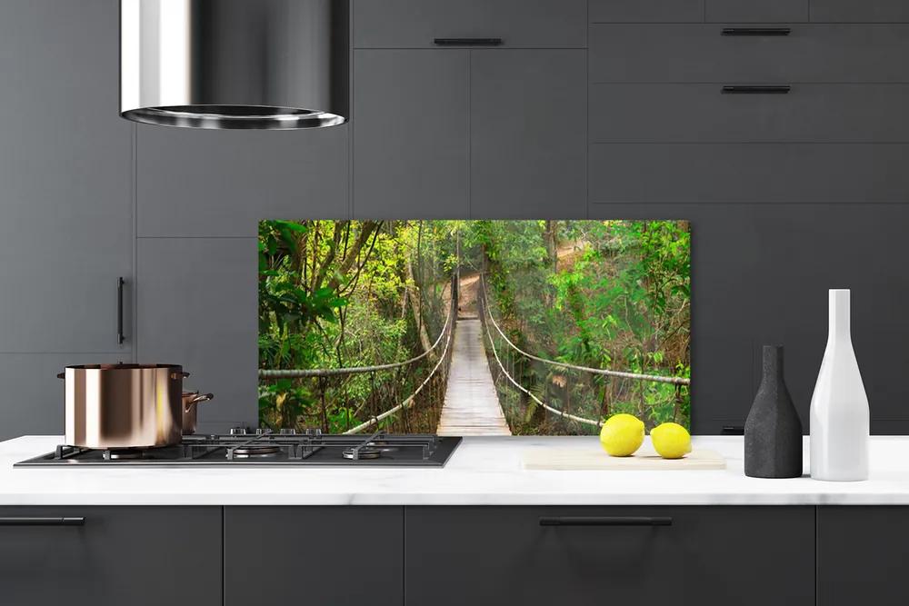 Sklenený obklad Do kuchyne Most džungľa tropický les 120x60 cm