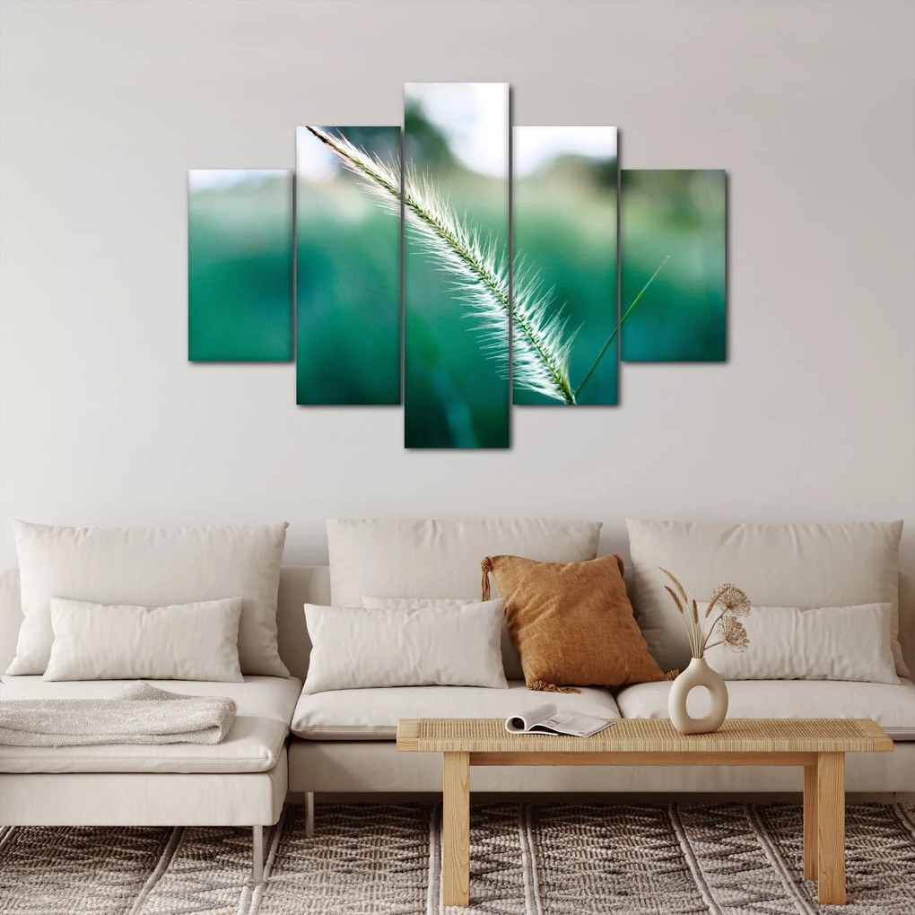Obraz steblá trávy (150x105 cm)